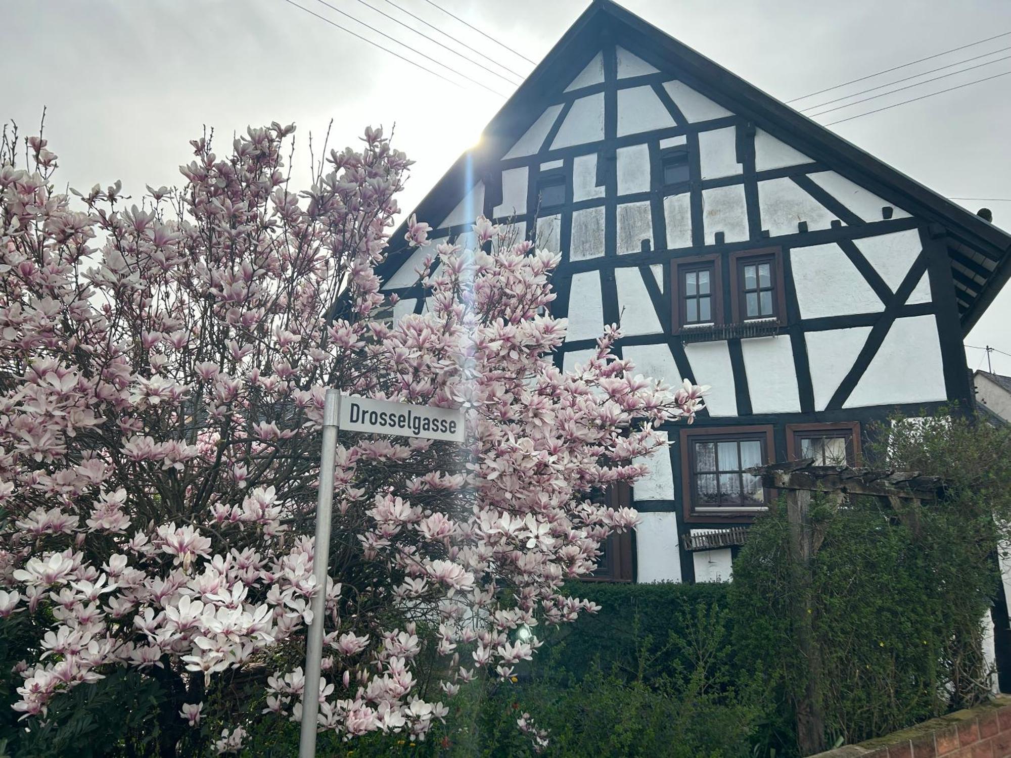 Das Pautzen Haus Даун Екстериор снимка